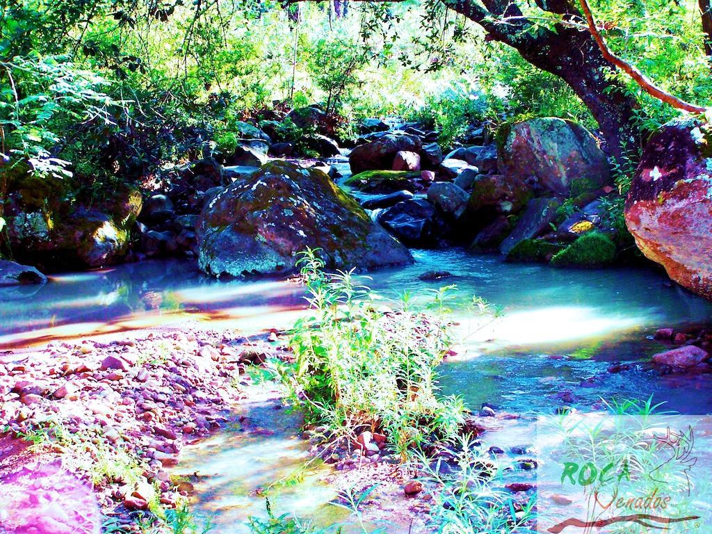 Rocavenados Villa Mascota Luaran gambar